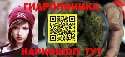 прущие крисы Дубна