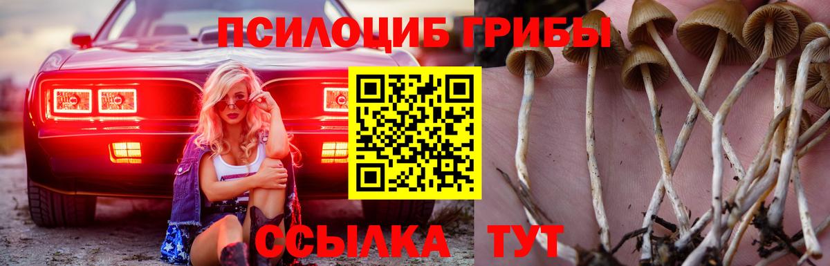 Галлюциногенные грибы мухоморы Биробиджан